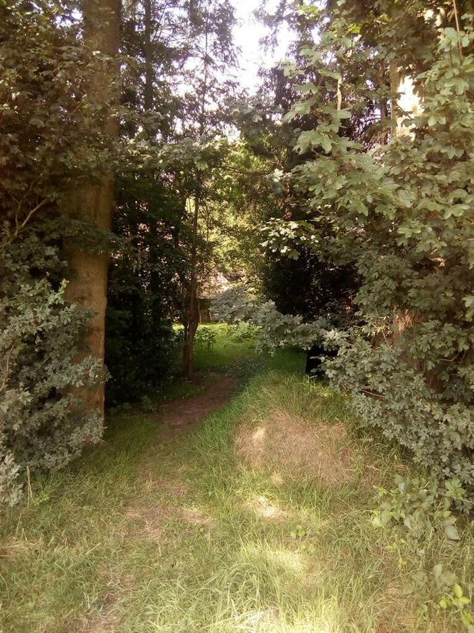De Hoeve Mare Terre Giethoorn, Voor 1 Tot 6 Personen Экстерьер фото