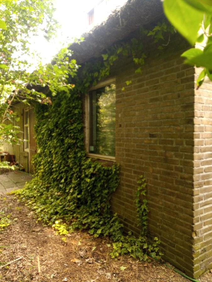 De Hoeve Mare Terre Giethoorn, Voor 1 Tot 6 Personen Экстерьер фото
